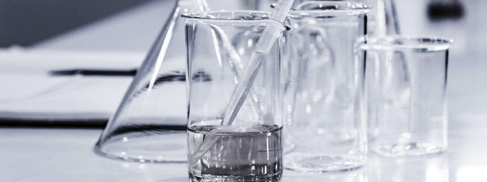 2024農業基因編輯論壇：國內外發展與應用