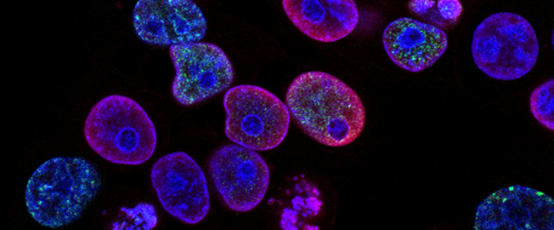精準農業解決方案