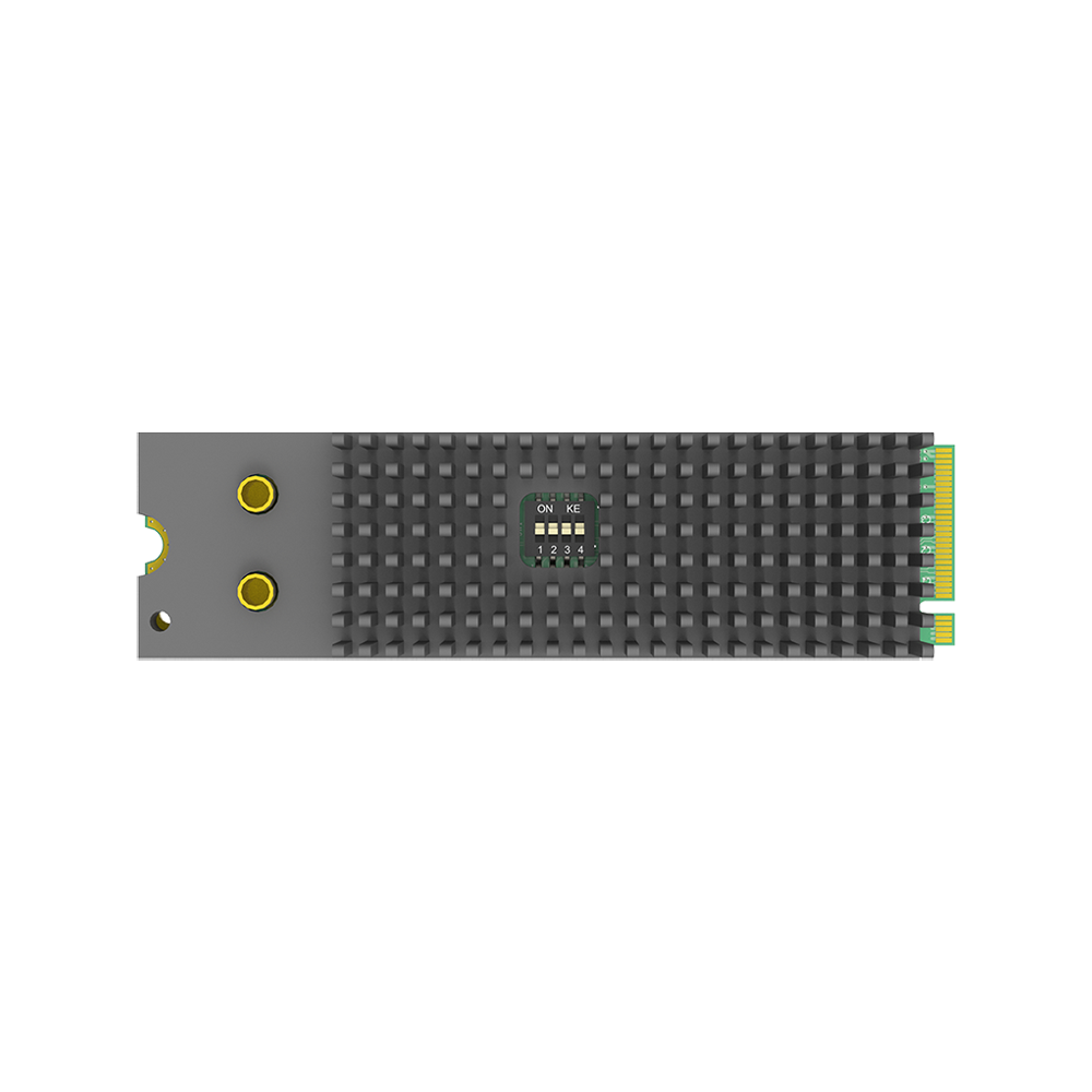 Magewell Eco Capture Dual SDI M.2