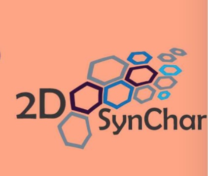 Workshop on 2D Materials Synthesis and Characterization