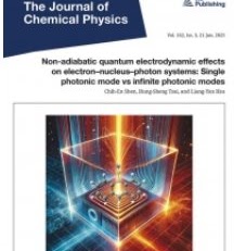 J. Chem. Phys. 162, 034107 (2025)