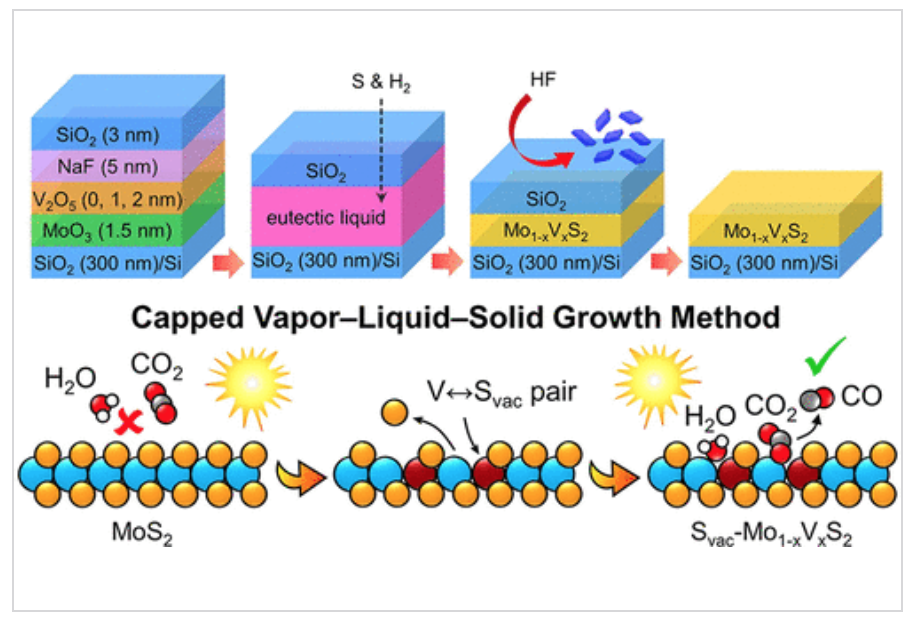 <p class="lexical__paragraph" dir="ltr"><span style="white-space: pre-wrap;">ACS Nano, 20, 2, 2211–2224 (2026)</span></p>