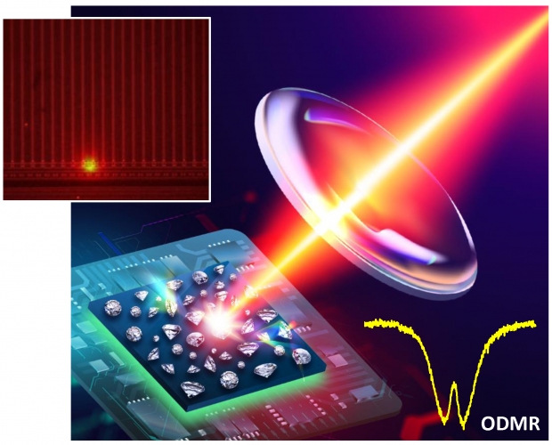 Adv. Funct. Mater. e13406 (2025)