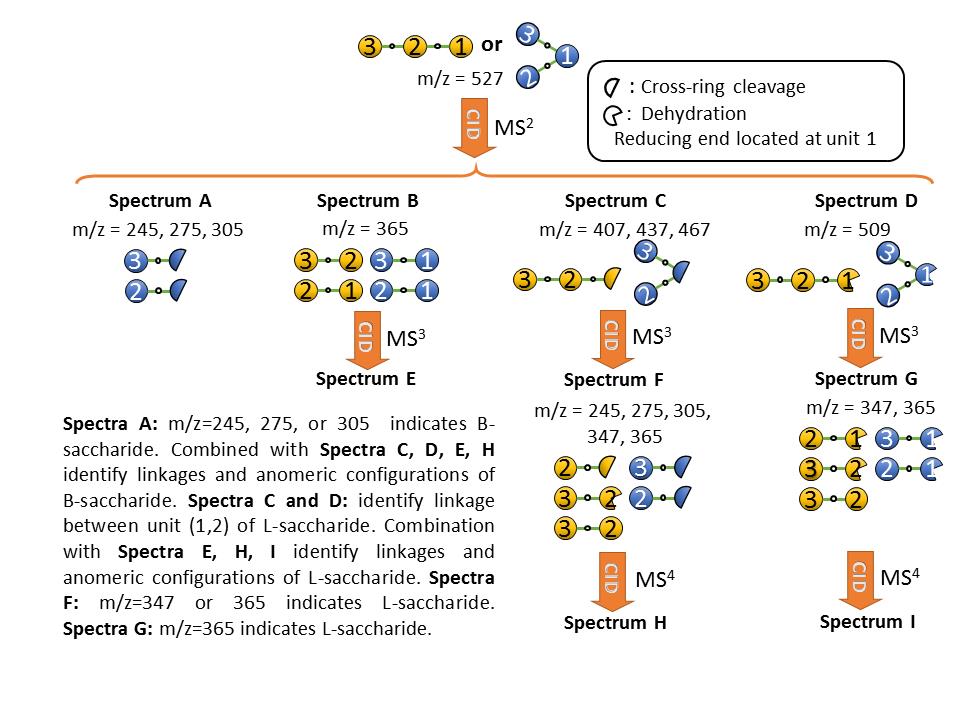 <p class="lexical__paragraph" dir="ltr"><span style="white-space: pre-wrap;">Scientific Reports, 8, 5562 (2018)</span></p>