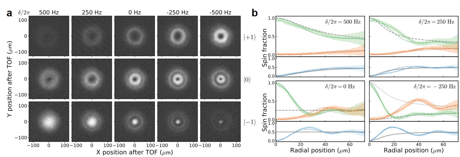 <p class="lexical__paragraph" dir="ltr"><span style="white-space: pre-wrap;">Phys. Rev. Lett. 121, 113204 (2018)</span></p>